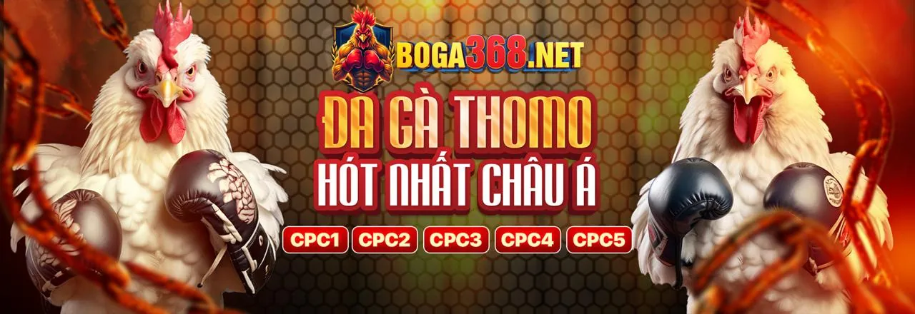 Đá gà trực tuyến bi88 đăng ký, các trận đấu gà kịch tính